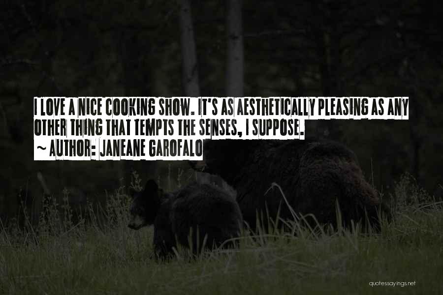 Janeane Garofalo Quotes: I Love A Nice Cooking Show. It's As Aesthetically Pleasing As Any Other Thing That Tempts The Senses, I Suppose.