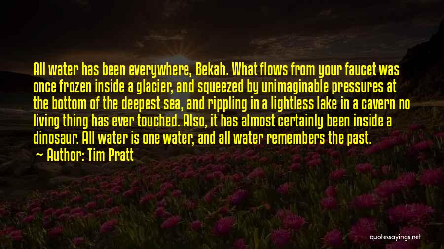 Tim Pratt Quotes: All Water Has Been Everywhere, Bekah. What Flows From Your Faucet Was Once Frozen Inside A Glacier, And Squeezed By