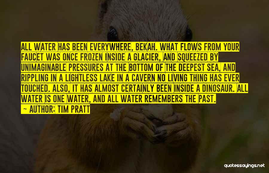 Tim Pratt Quotes: All Water Has Been Everywhere, Bekah. What Flows From Your Faucet Was Once Frozen Inside A Glacier, And Squeezed By