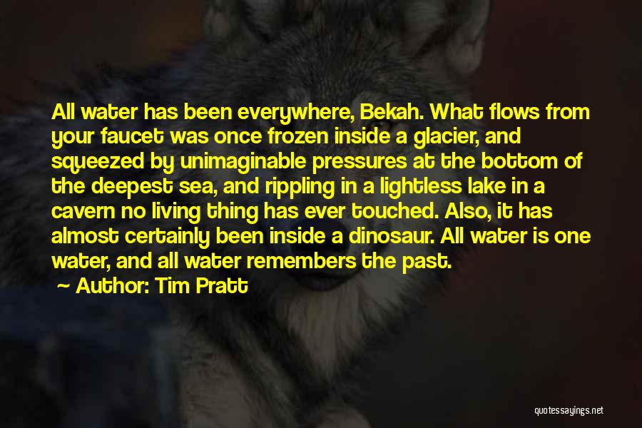 Tim Pratt Quotes: All Water Has Been Everywhere, Bekah. What Flows From Your Faucet Was Once Frozen Inside A Glacier, And Squeezed By