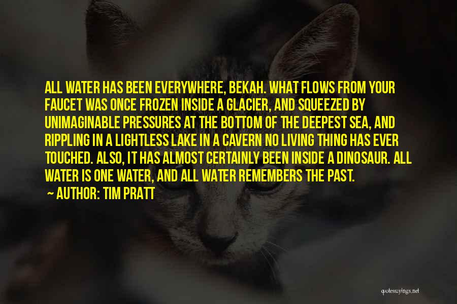 Tim Pratt Quotes: All Water Has Been Everywhere, Bekah. What Flows From Your Faucet Was Once Frozen Inside A Glacier, And Squeezed By