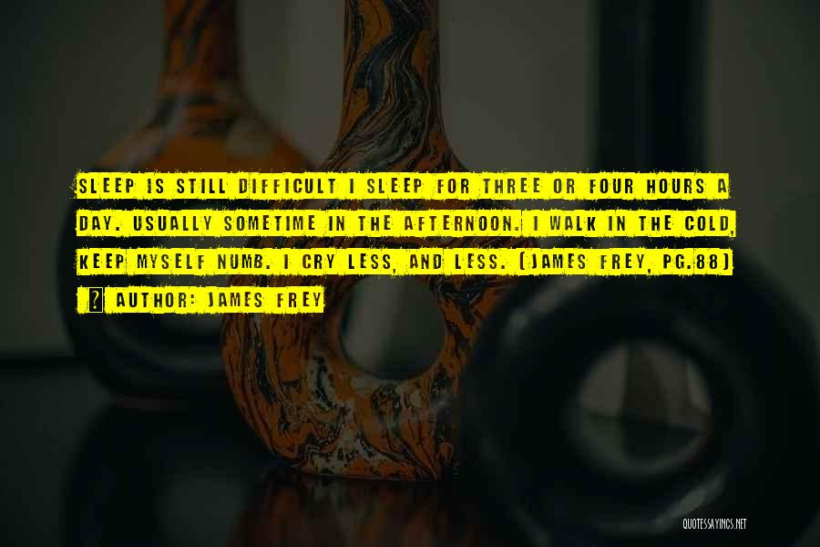 James Frey Quotes: Sleep Is Still Difficult I Sleep For Three Or Four Hours A Day. Usually Sometime In The Afternoon. I Walk