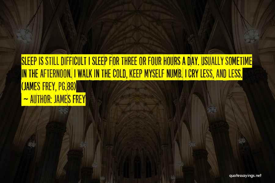James Frey Quotes: Sleep Is Still Difficult I Sleep For Three Or Four Hours A Day. Usually Sometime In The Afternoon. I Walk