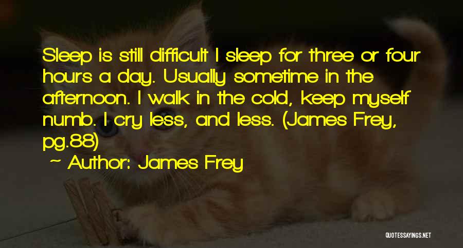 James Frey Quotes: Sleep Is Still Difficult I Sleep For Three Or Four Hours A Day. Usually Sometime In The Afternoon. I Walk