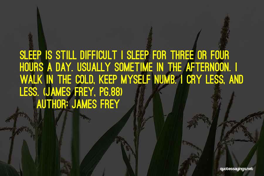 James Frey Quotes: Sleep Is Still Difficult I Sleep For Three Or Four Hours A Day. Usually Sometime In The Afternoon. I Walk