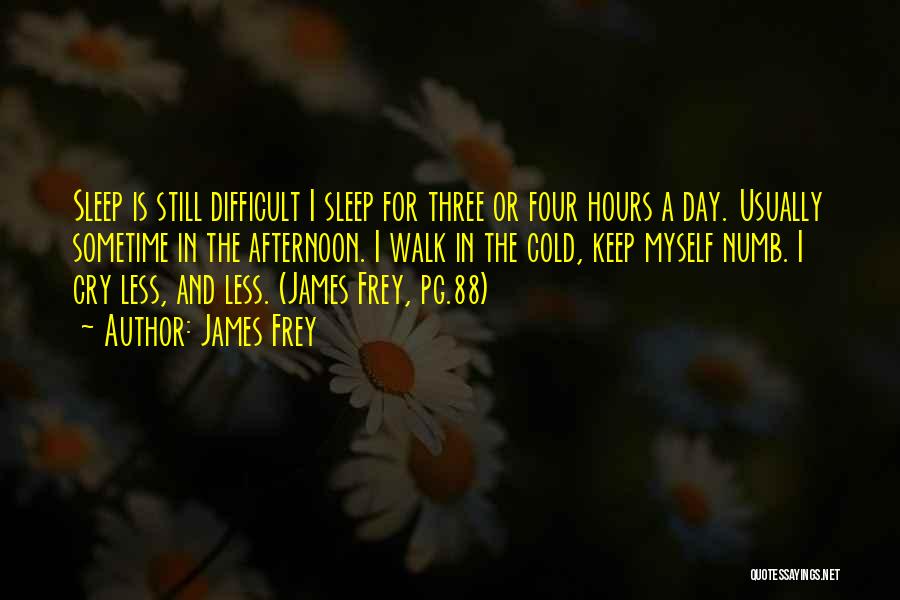 James Frey Quotes: Sleep Is Still Difficult I Sleep For Three Or Four Hours A Day. Usually Sometime In The Afternoon. I Walk