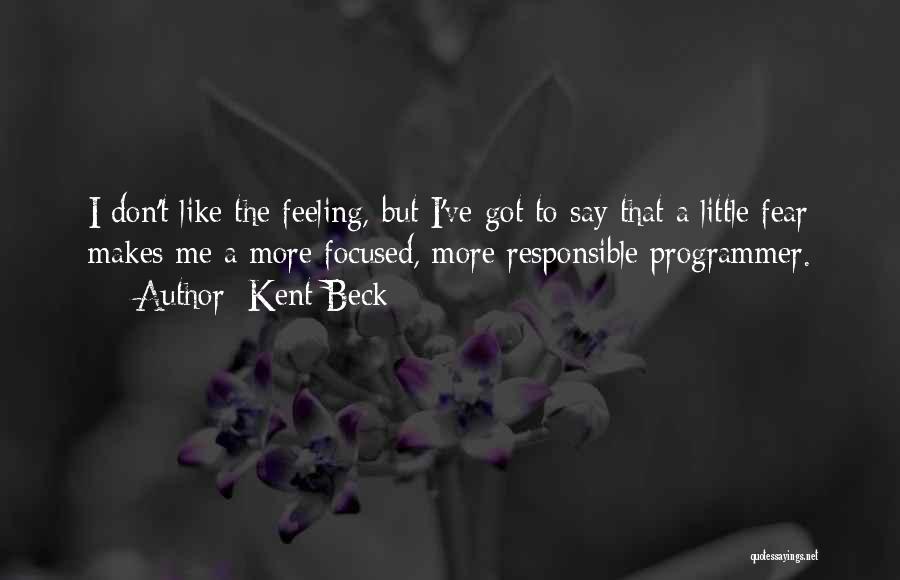 Kent Beck Quotes: I Don't Like The Feeling, But I've Got To Say That A Little Fear Makes Me A More Focused, More