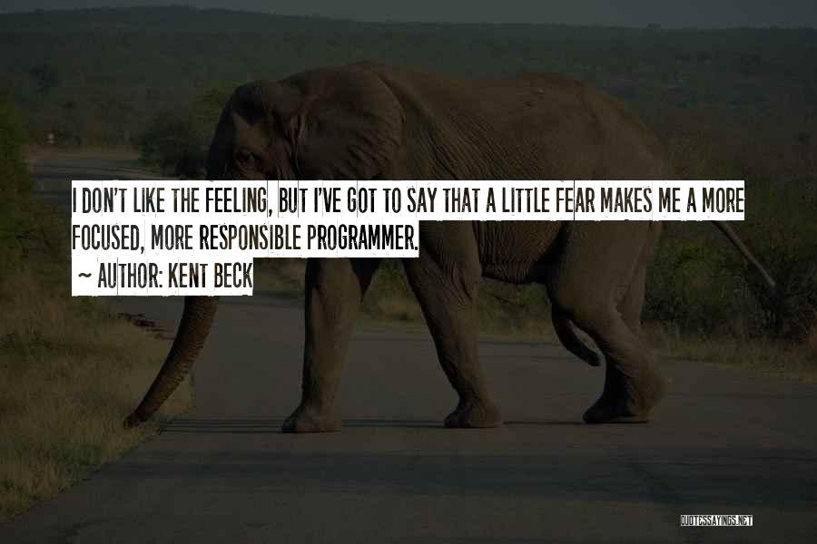 Kent Beck Quotes: I Don't Like The Feeling, But I've Got To Say That A Little Fear Makes Me A More Focused, More