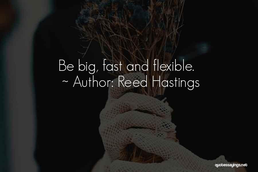 Reed Hastings Quotes: Be Big, Fast And Flexible.