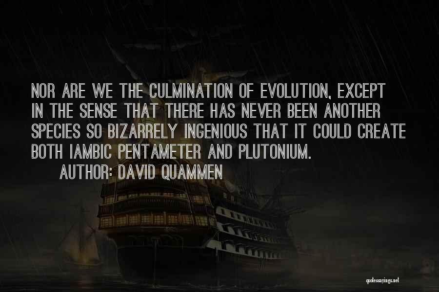 David Quammen Quotes: Nor Are We The Culmination Of Evolution, Except In The Sense That There Has Never Been Another Species So Bizarrely