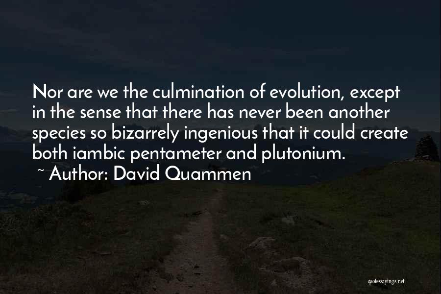 David Quammen Quotes: Nor Are We The Culmination Of Evolution, Except In The Sense That There Has Never Been Another Species So Bizarrely