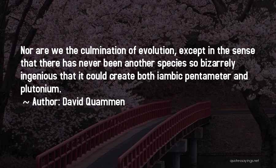 David Quammen Quotes: Nor Are We The Culmination Of Evolution, Except In The Sense That There Has Never Been Another Species So Bizarrely