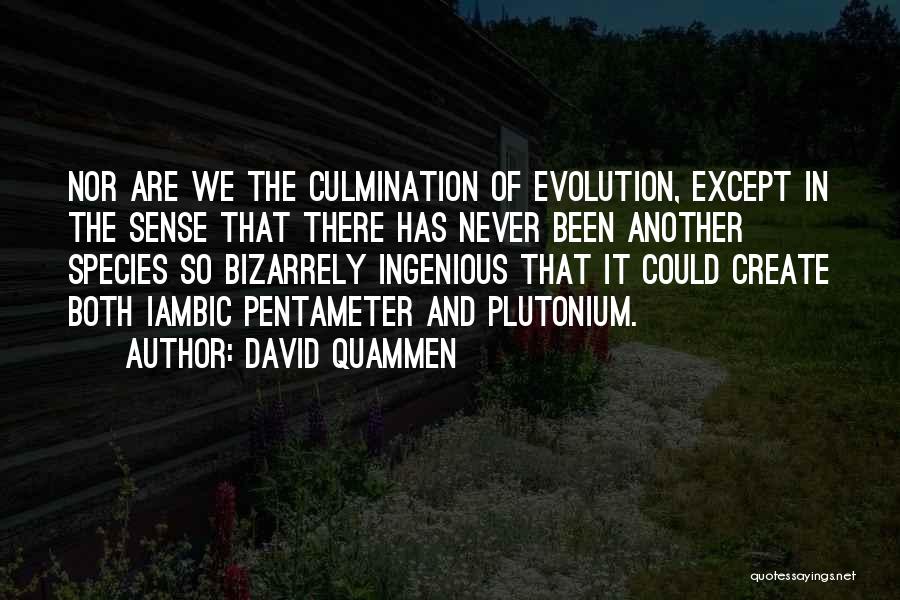 David Quammen Quotes: Nor Are We The Culmination Of Evolution, Except In The Sense That There Has Never Been Another Species So Bizarrely