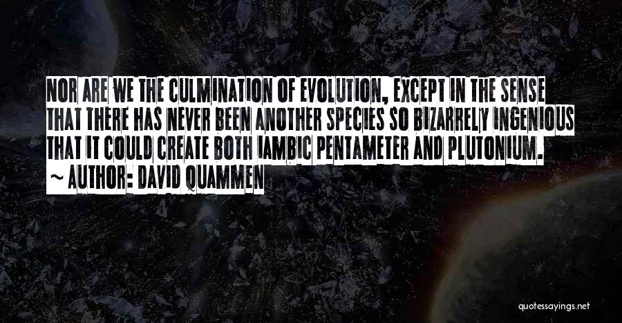 David Quammen Quotes: Nor Are We The Culmination Of Evolution, Except In The Sense That There Has Never Been Another Species So Bizarrely