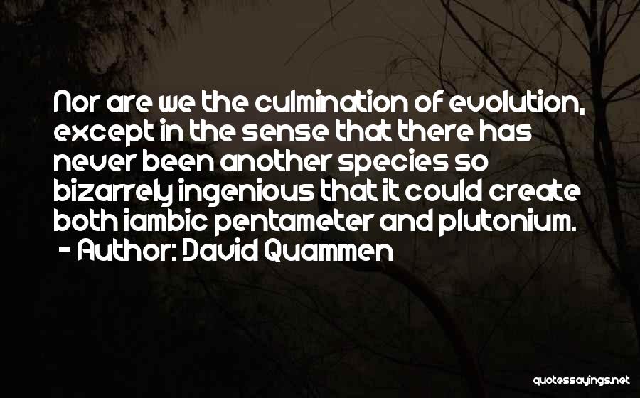 David Quammen Quotes: Nor Are We The Culmination Of Evolution, Except In The Sense That There Has Never Been Another Species So Bizarrely
