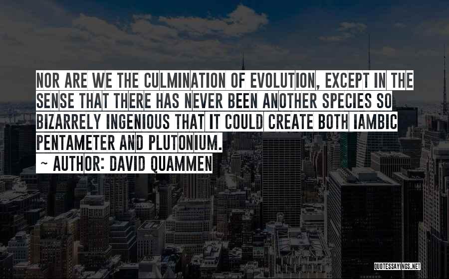 David Quammen Quotes: Nor Are We The Culmination Of Evolution, Except In The Sense That There Has Never Been Another Species So Bizarrely