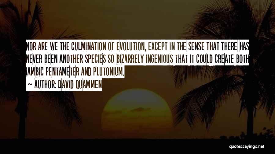 David Quammen Quotes: Nor Are We The Culmination Of Evolution, Except In The Sense That There Has Never Been Another Species So Bizarrely