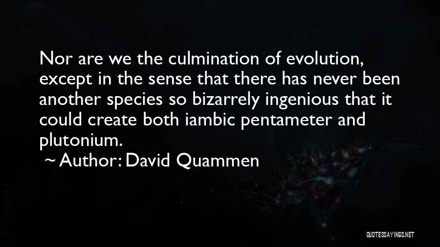 David Quammen Quotes: Nor Are We The Culmination Of Evolution, Except In The Sense That There Has Never Been Another Species So Bizarrely
