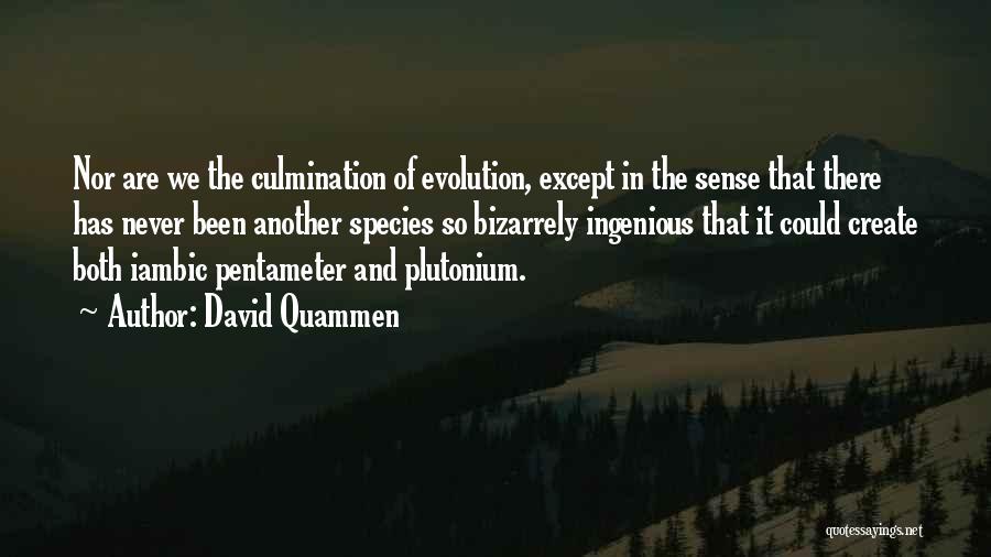 David Quammen Quotes: Nor Are We The Culmination Of Evolution, Except In The Sense That There Has Never Been Another Species So Bizarrely