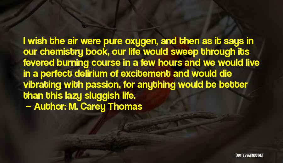 M. Carey Thomas Quotes: I Wish The Air Were Pure Oxygen, And Then As It Says In Our Chemistry Book, Our Life Would Sweep