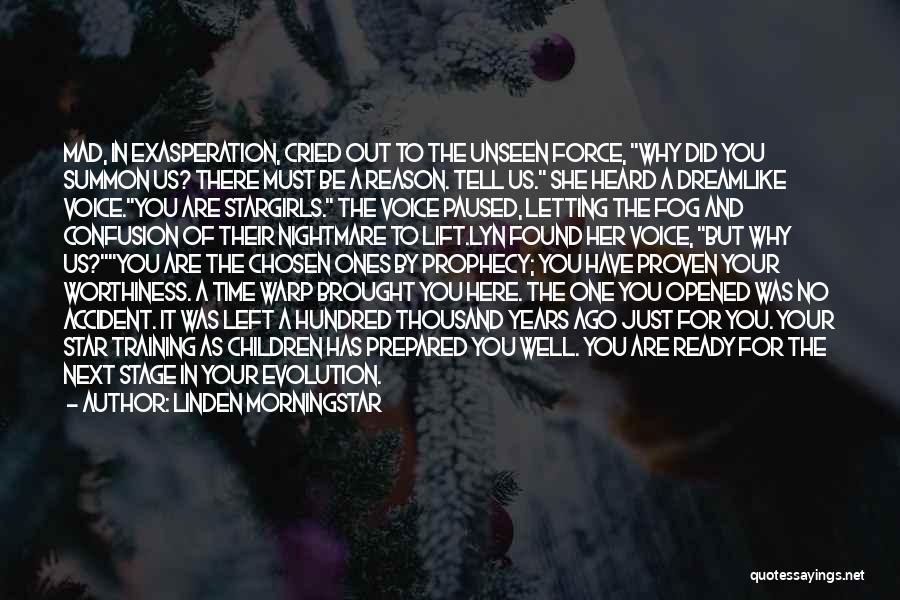 Linden Morningstar Quotes: Mad, In Exasperation, Cried Out To The Unseen Force, Why Did You Summon Us? There Must Be A Reason. Tell