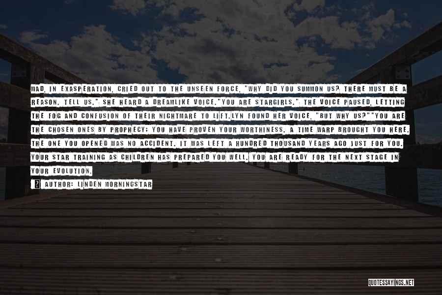 Linden Morningstar Quotes: Mad, In Exasperation, Cried Out To The Unseen Force, Why Did You Summon Us? There Must Be A Reason. Tell