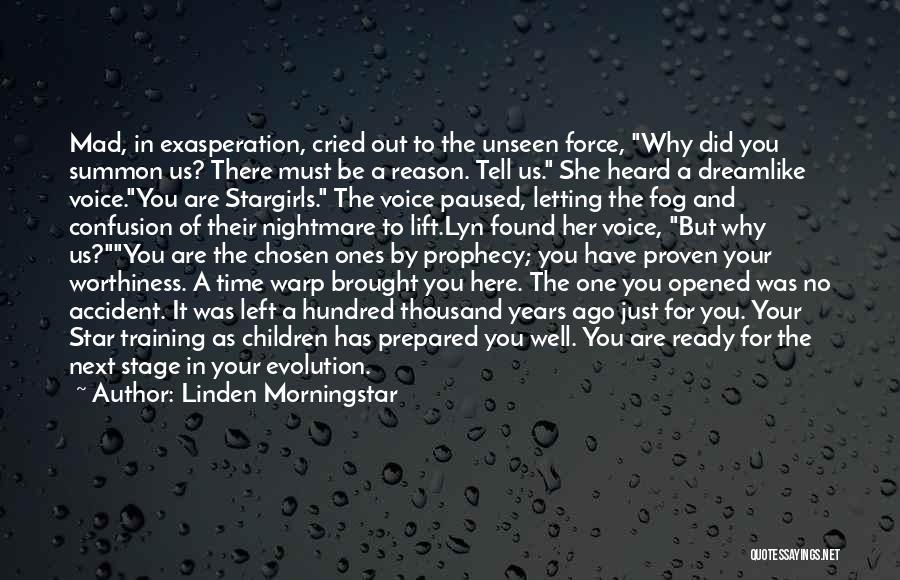 Linden Morningstar Quotes: Mad, In Exasperation, Cried Out To The Unseen Force, Why Did You Summon Us? There Must Be A Reason. Tell