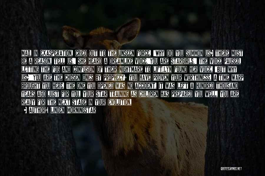 Linden Morningstar Quotes: Mad, In Exasperation, Cried Out To The Unseen Force, Why Did You Summon Us? There Must Be A Reason. Tell