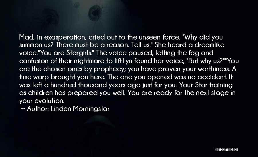 Linden Morningstar Quotes: Mad, In Exasperation, Cried Out To The Unseen Force, Why Did You Summon Us? There Must Be A Reason. Tell