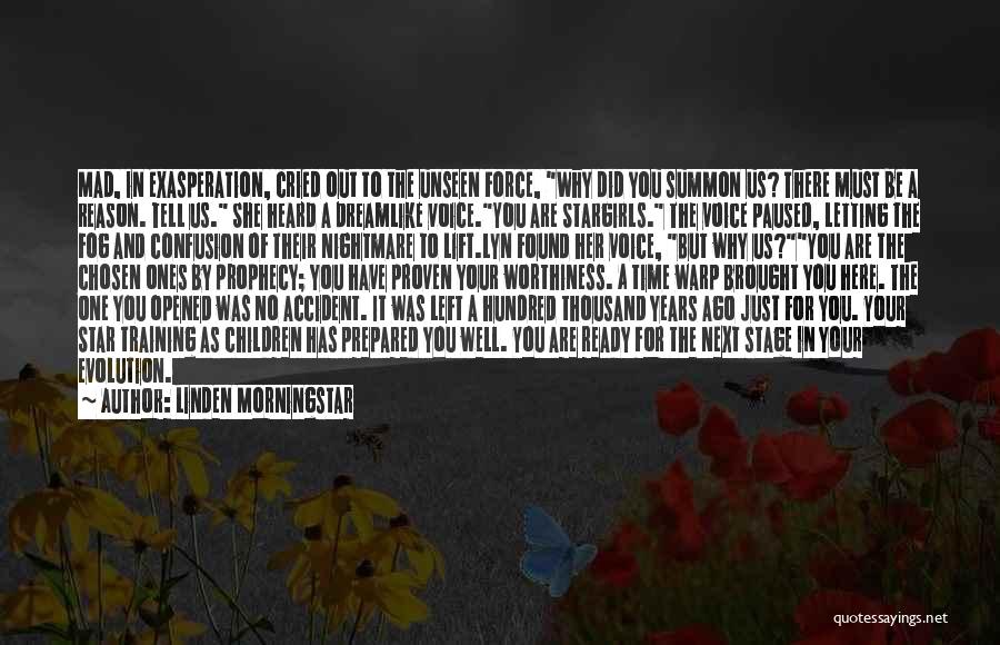 Linden Morningstar Quotes: Mad, In Exasperation, Cried Out To The Unseen Force, Why Did You Summon Us? There Must Be A Reason. Tell