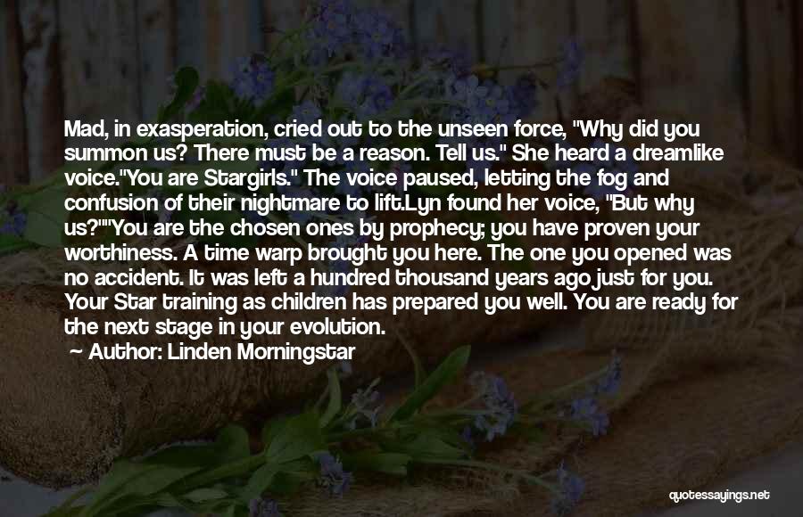 Linden Morningstar Quotes: Mad, In Exasperation, Cried Out To The Unseen Force, Why Did You Summon Us? There Must Be A Reason. Tell