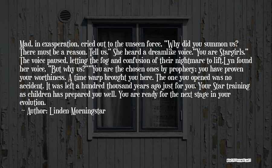 Linden Morningstar Quotes: Mad, In Exasperation, Cried Out To The Unseen Force, Why Did You Summon Us? There Must Be A Reason. Tell