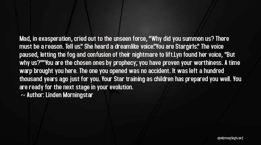 Linden Morningstar Quotes: Mad, In Exasperation, Cried Out To The Unseen Force, Why Did You Summon Us? There Must Be A Reason. Tell