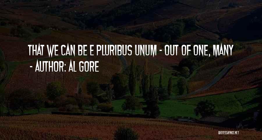 Al Gore Quotes: That We Can Be E Pluribus Unum - Out Of One, Many