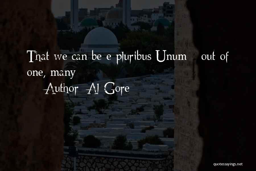 Al Gore Quotes: That We Can Be E Pluribus Unum - Out Of One, Many