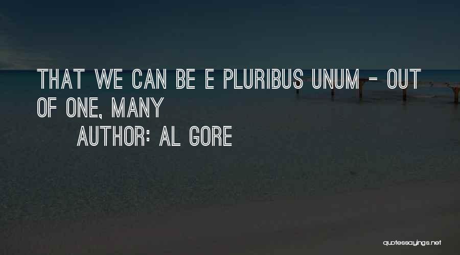Al Gore Quotes: That We Can Be E Pluribus Unum - Out Of One, Many