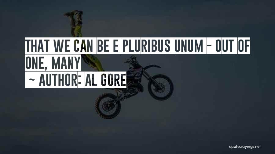 Al Gore Quotes: That We Can Be E Pluribus Unum - Out Of One, Many
