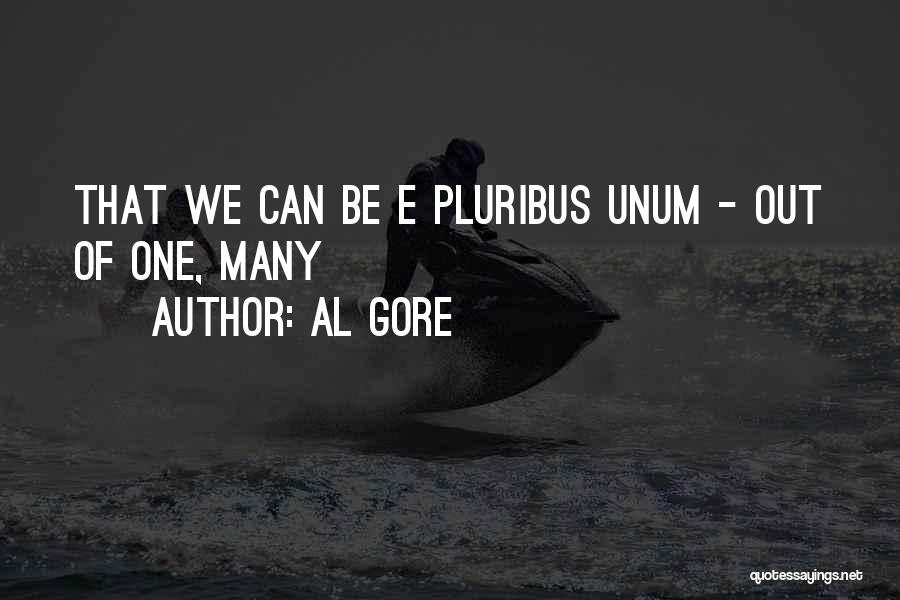 Al Gore Quotes: That We Can Be E Pluribus Unum - Out Of One, Many