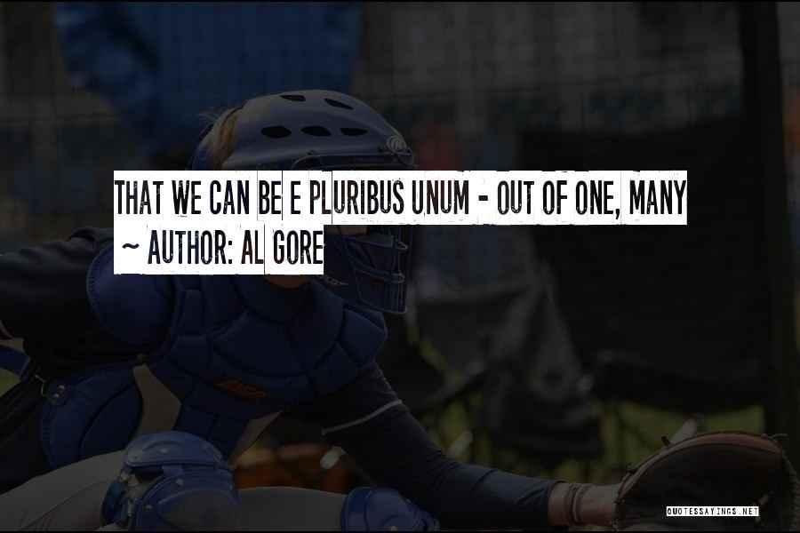 Al Gore Quotes: That We Can Be E Pluribus Unum - Out Of One, Many