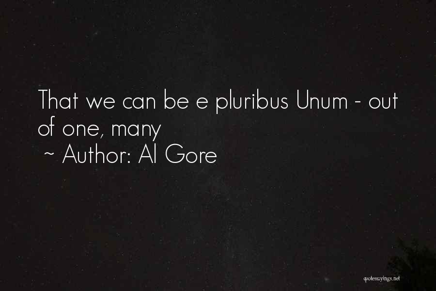 Al Gore Quotes: That We Can Be E Pluribus Unum - Out Of One, Many