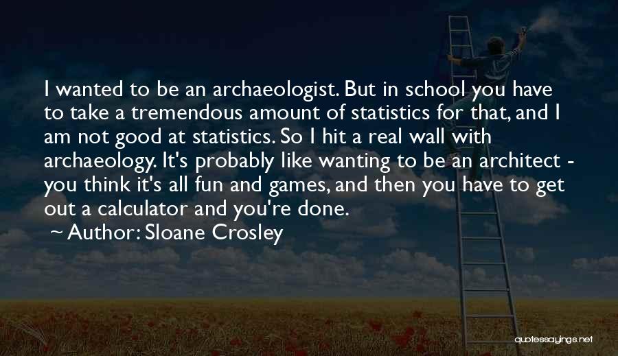 Sloane Crosley Quotes: I Wanted To Be An Archaeologist. But In School You Have To Take A Tremendous Amount Of Statistics For That,