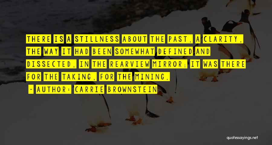 Carrie Brownstein Quotes: There Is A Stillness About The Past, A Clarity, The Way It Had Been Somewhat Defined And Dissected, In The