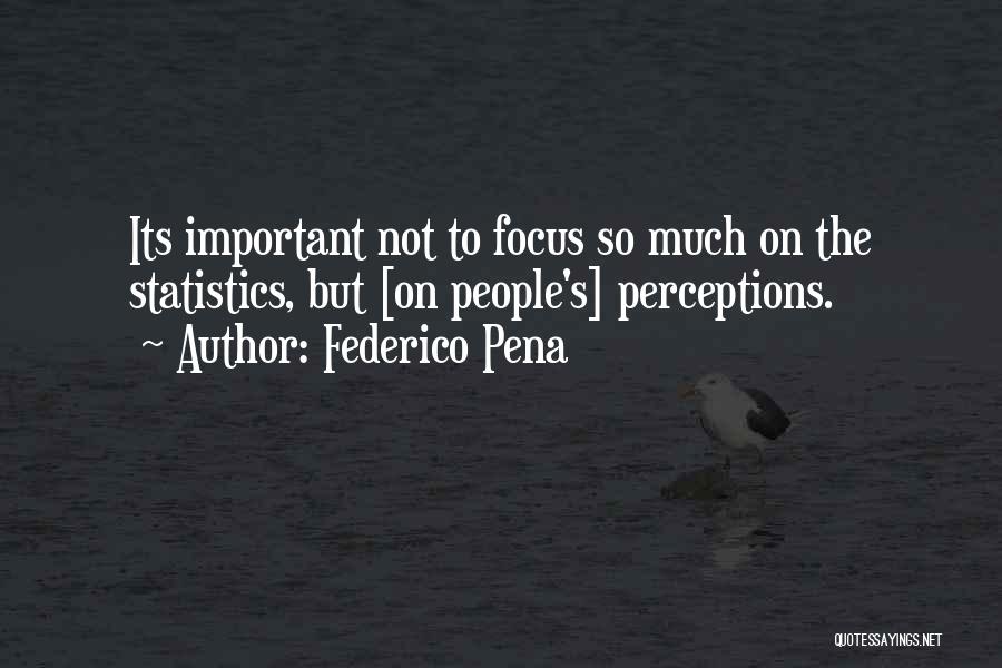Federico Pena Quotes: Its Important Not To Focus So Much On The Statistics, But [on People's] Perceptions.
