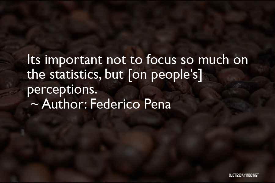 Federico Pena Quotes: Its Important Not To Focus So Much On The Statistics, But [on People's] Perceptions.