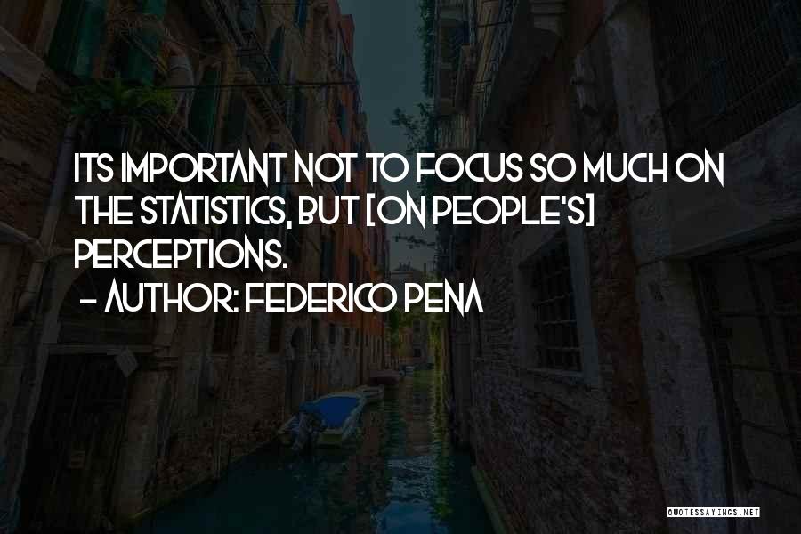 Federico Pena Quotes: Its Important Not To Focus So Much On The Statistics, But [on People's] Perceptions.