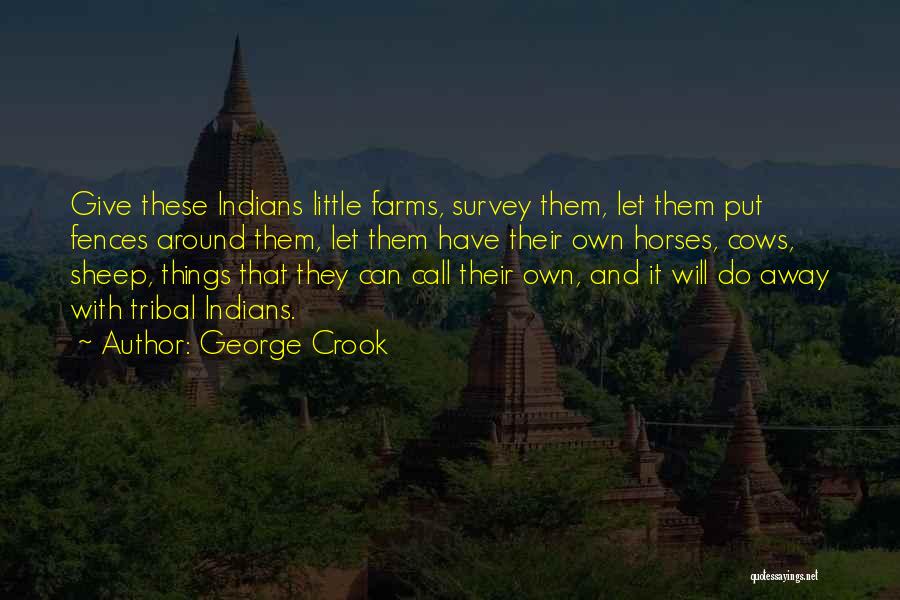 George Crook Quotes: Give These Indians Little Farms, Survey Them, Let Them Put Fences Around Them, Let Them Have Their Own Horses, Cows,