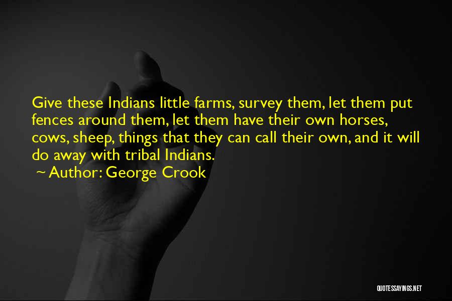 George Crook Quotes: Give These Indians Little Farms, Survey Them, Let Them Put Fences Around Them, Let Them Have Their Own Horses, Cows,