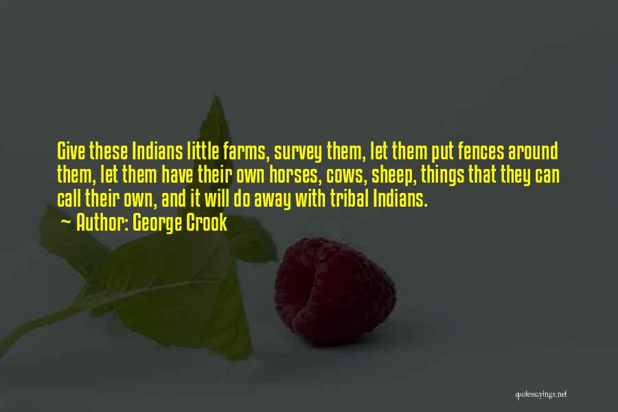 George Crook Quotes: Give These Indians Little Farms, Survey Them, Let Them Put Fences Around Them, Let Them Have Their Own Horses, Cows,