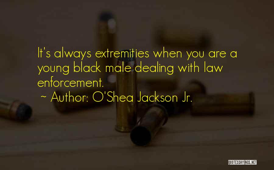 O'Shea Jackson Jr. Quotes: It's Always Extremities When You Are A Young Black Male Dealing With Law Enforcement.