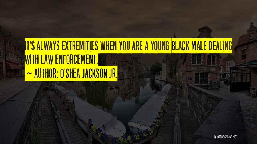 O'Shea Jackson Jr. Quotes: It's Always Extremities When You Are A Young Black Male Dealing With Law Enforcement.